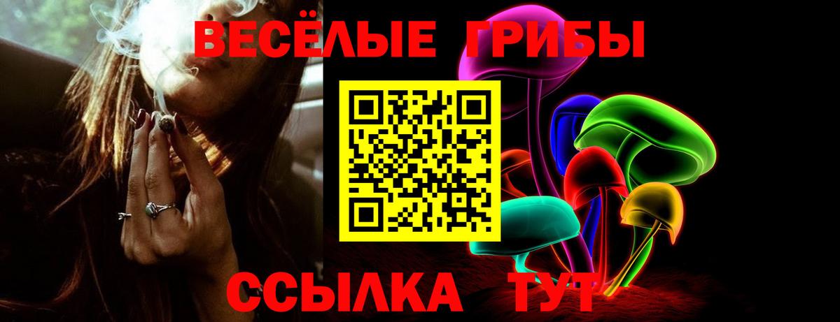 Реутов  купить наркотик  Вход с VPN  Галлюциногенные грибы GOLDEN TEACHER 